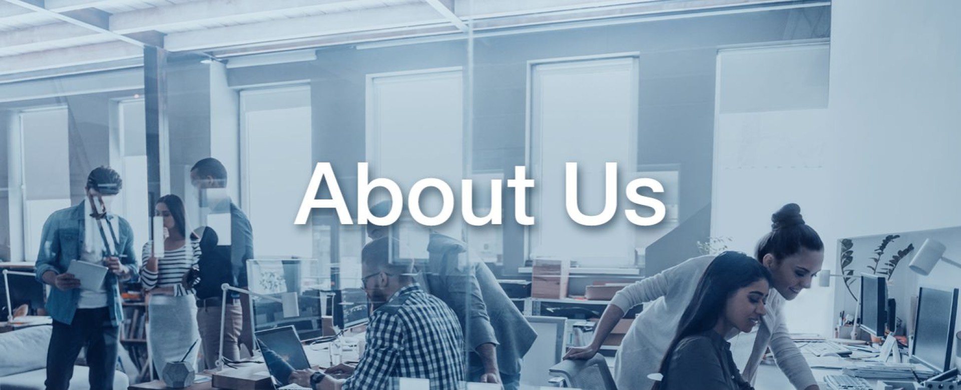about-us